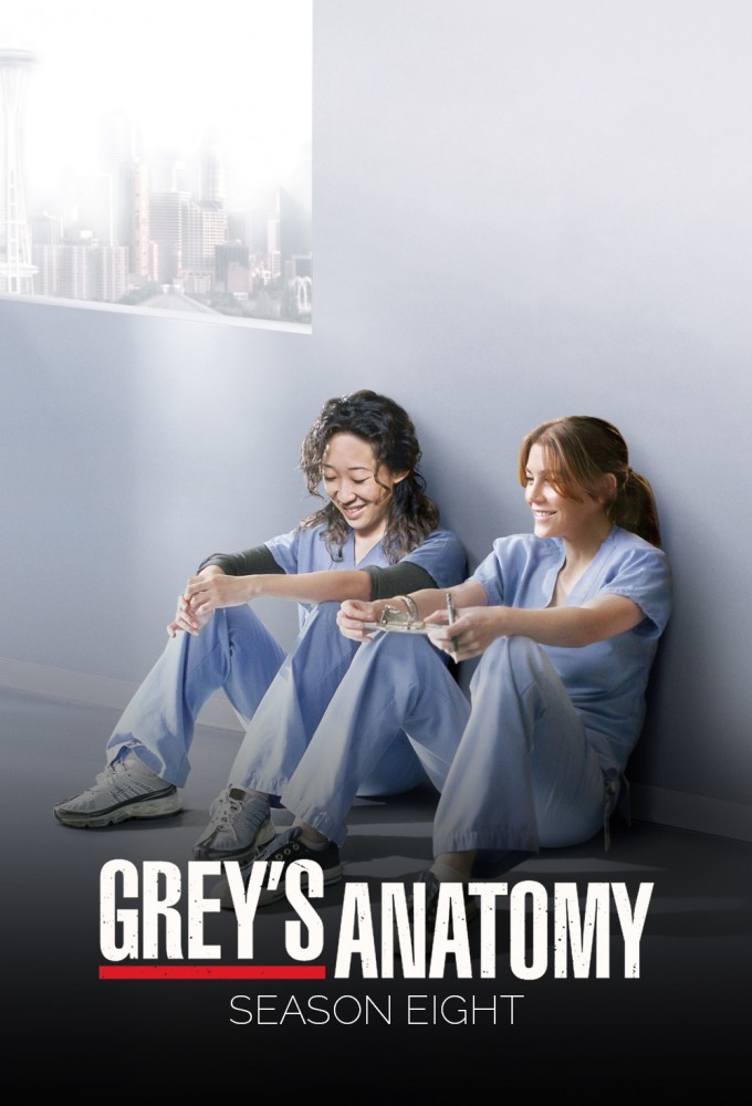 Grey's Anatomy - Season 8 [134291] (A1774146437) [[Shows 2.0]] --Plex--